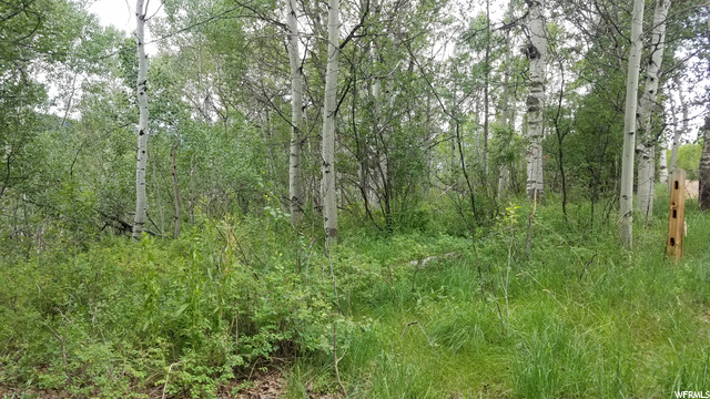 32 Colter Rd #32, Oakley, UT 84055 — photo 6