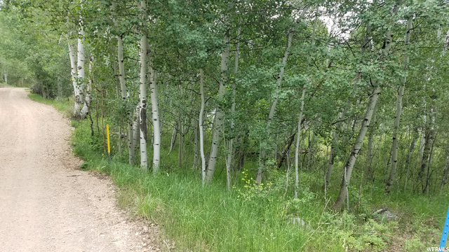 32 Colter Rd #32, Oakley, UT 84055 — photo 4