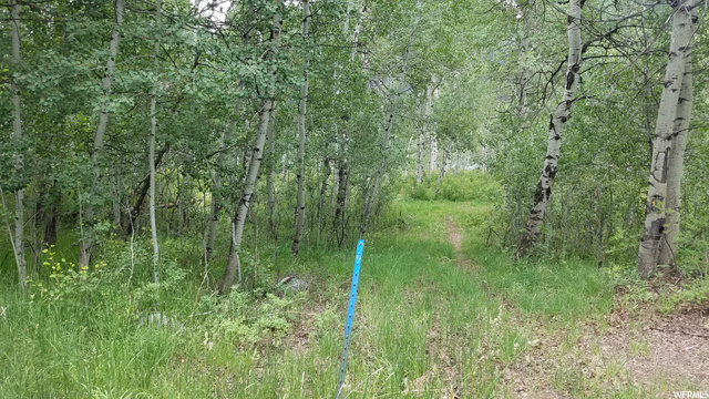 32 Colter Rd #32, Oakley, UT 84055 — photo 3