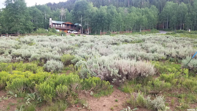 523 Targhee Dr #523, Oakley, UT 84055 — photo 5
