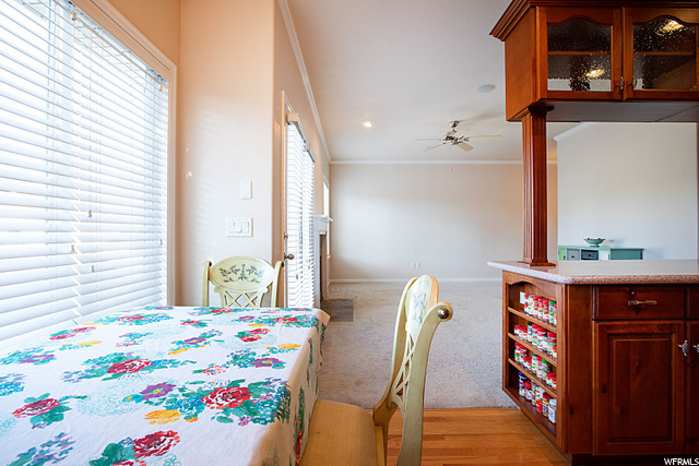 233 E White Spruce Cv, Sandy, UT 84070 — photo 7