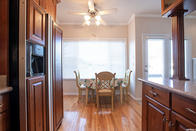 233 E White Spruce Cv, Sandy, UT 84070 — photo 8
