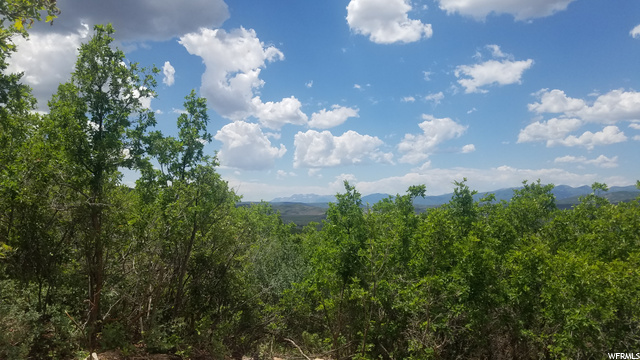 41 N 1100 E #41, Kamas, UT 84036 — photo 6