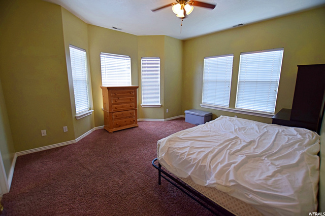 Master Bedroom Windows