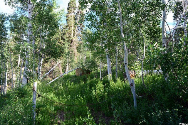 1688 Pine Loop Rd, Coalville, UT 84017 — photo 2