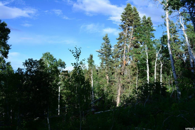 1688 Pine Loop Rd, Coalville, UT 84017 — photo 12