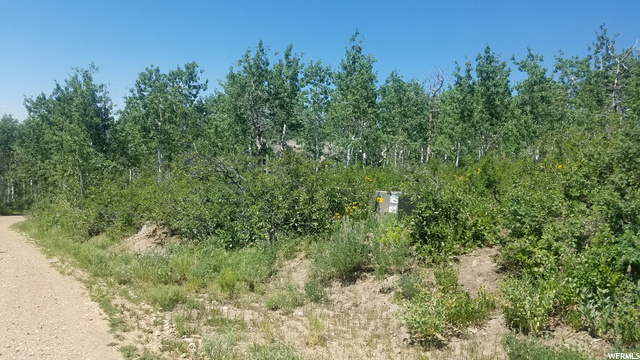 2245 Windy Ridge Dr, Wanship, UT 84017 — photo 9