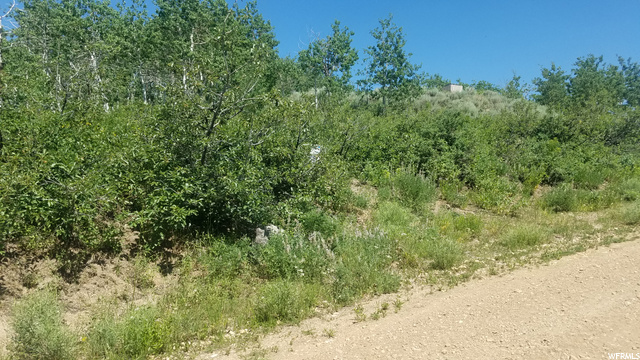 2245 Windy Ridge Dr, Wanship, UT 84017 — photo 12