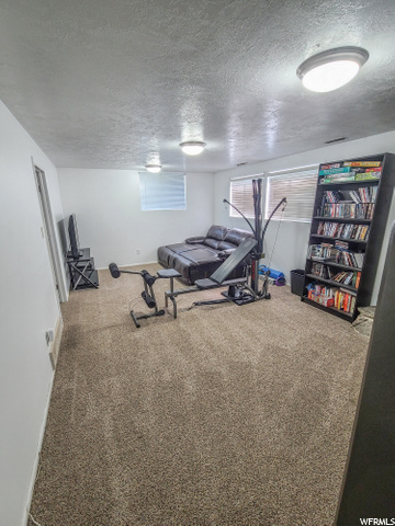 Basement Living Room