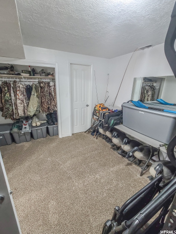 Basement Den