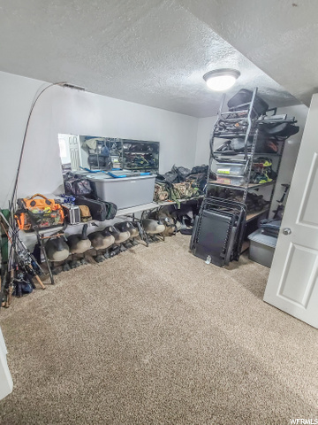 Basement Den