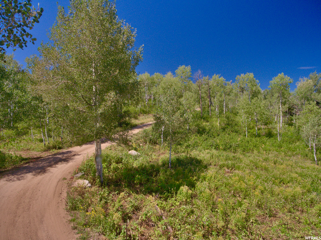 142 Pine Meadow Dr, Wanship, UT 84017 — photo 4