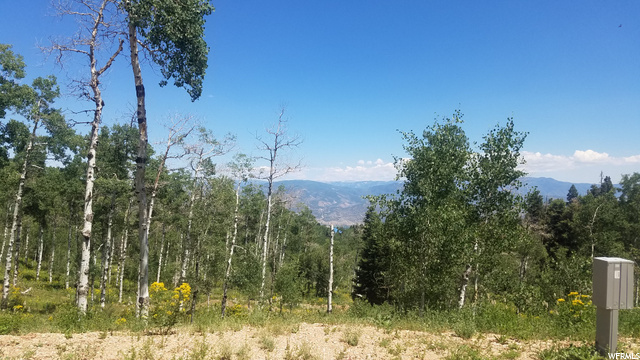 1934 Pine Meadow Dr, Wanship, UT 84017 — photo 9