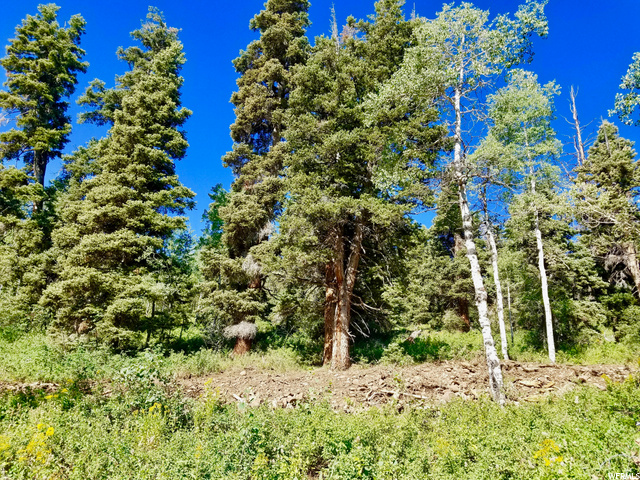 1934 Pine Meadow Dr, Wanship, UT 84017 — photo 12