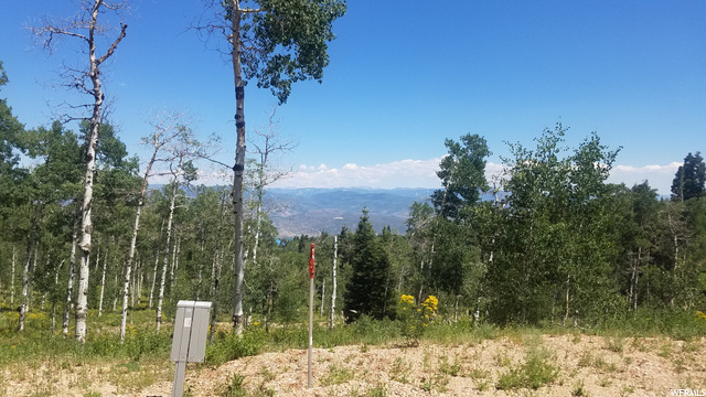 1934 Pine Meadow Dr, Wanship, UT 84017 — photo 7