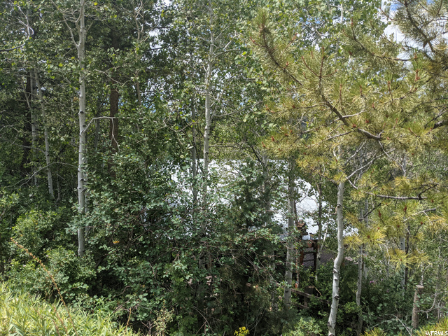 44 Aspen Loop #44, Oakley, UT 84055 — photo 6