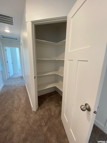 Huge Linen Closet