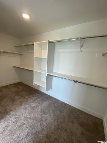 Oversized Master Closet