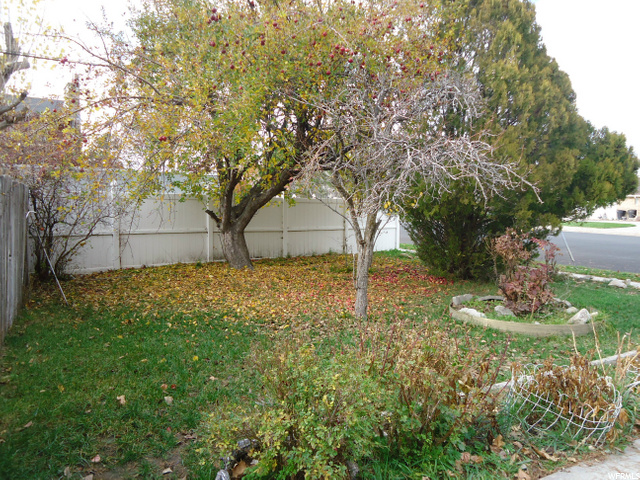 546 E 900 N, Brigham City, UT 84302 — photo 6