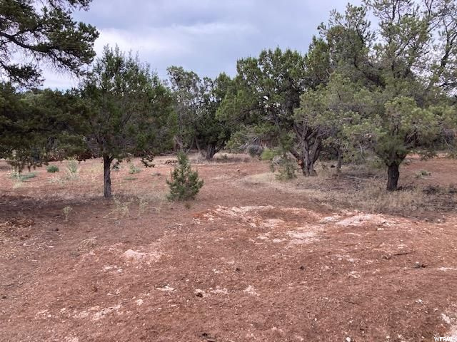 #16, Central, UT 84722 — photo 5