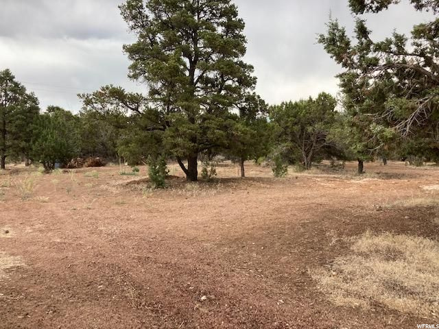 #16, Central, UT 84722 — photo 3