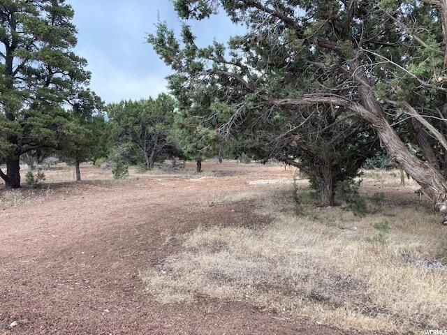 #16, Central, UT 84722 — photo 2