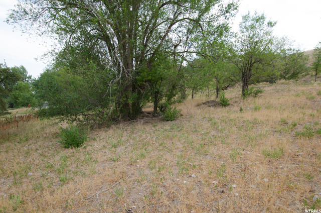 700 S Baur Ave E, Providence, UT 84332 — photo 12