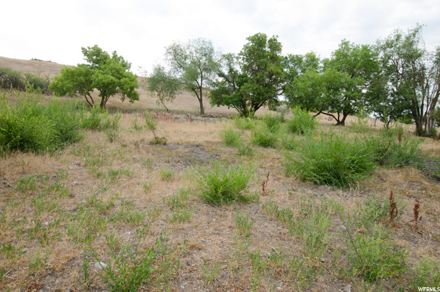 700 S Baur Ave E, Providence, UT 84332 — photo 9