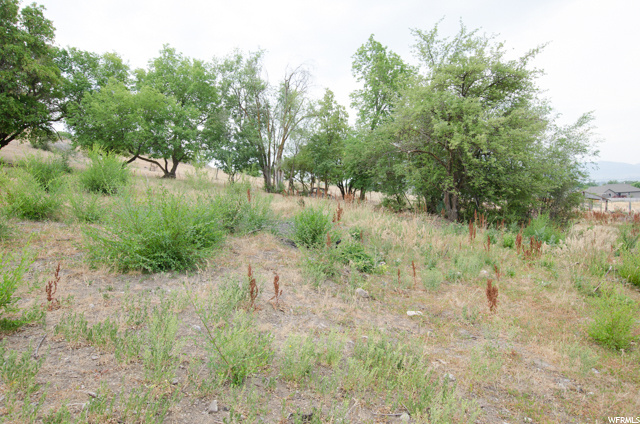 700 S Baur Ave E, Providence, UT 84332 — photo 10
