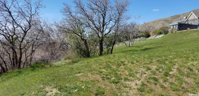 540 N 1300 E #10, Bountiful, UT 84010 — photo 6