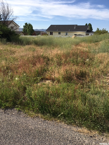 285 N 655 E, Mt Pleasant, UT 84647 — photo 6