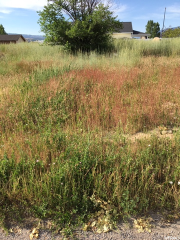 285 N 655 E, Mt Pleasant, UT 84647 — photo 7