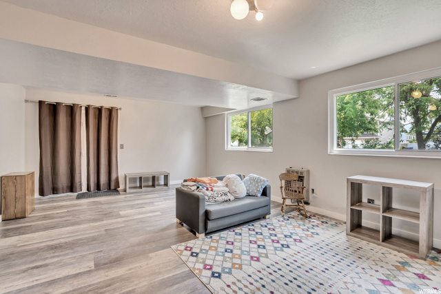 Basement Family Room