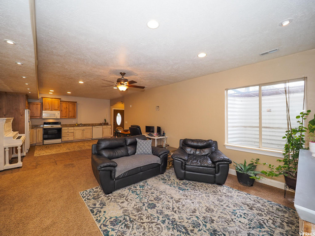 Living Room/Kitchen Downstairs
