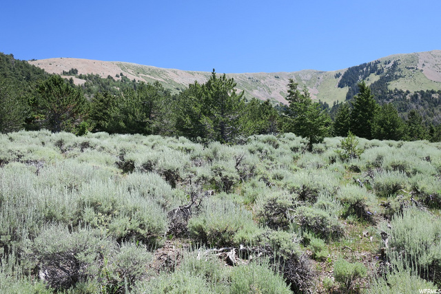 10000 E Henry Mountain Rd, Torrey, UT 84775 — photo 4