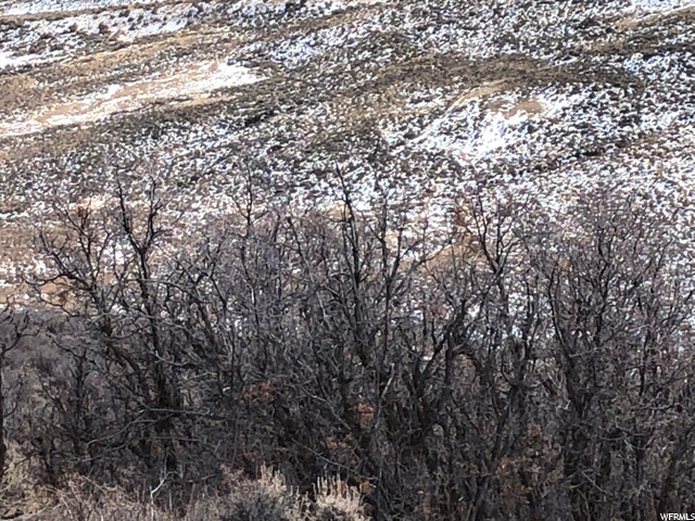 6 Parkview Dr, Wanship, UT 84017 — photo 10