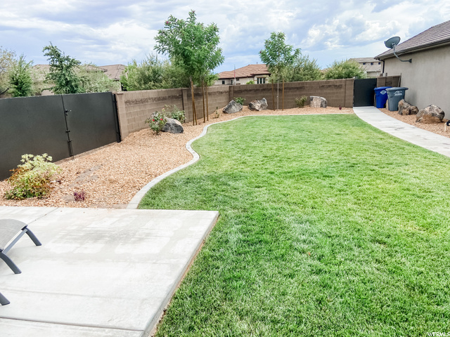 Full Grassy Space