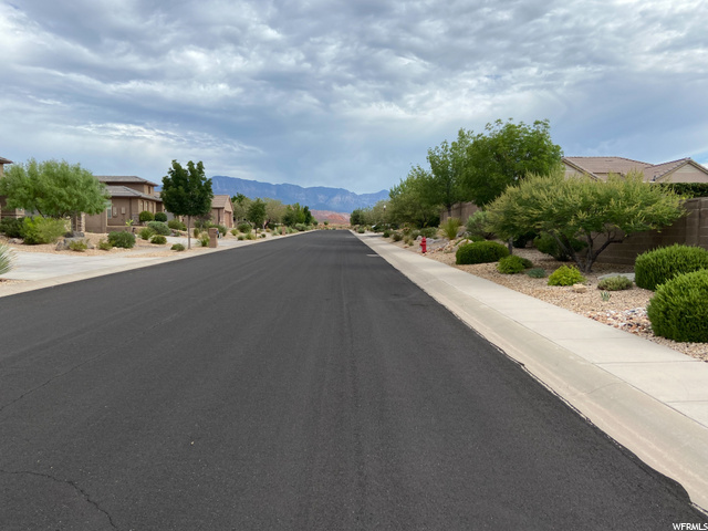 Beautiful Neighborhood