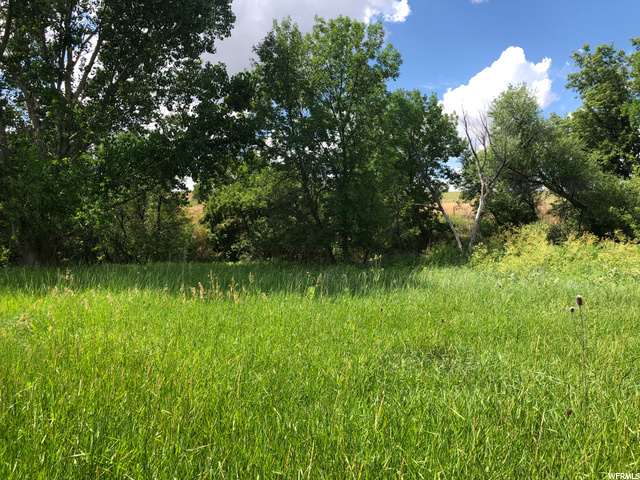 13168 N Brookside Dr, Garland, UT 84312 — photo 5
