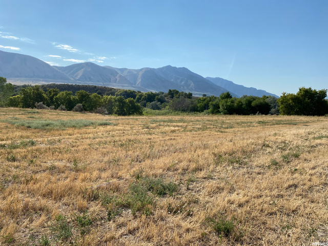 13168 N Brookside Dr, Garland, UT 84312 — photo 12