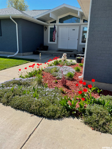 2294 E Sunset Dr, Layton, UT 84040 — photo 4