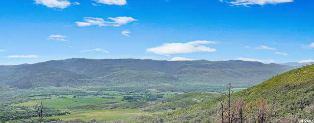 #478, Indianola, UT 84629 — photo 7