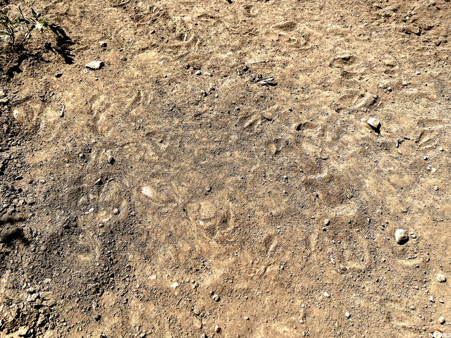 #478, Indianola, UT 84629 — photo 8