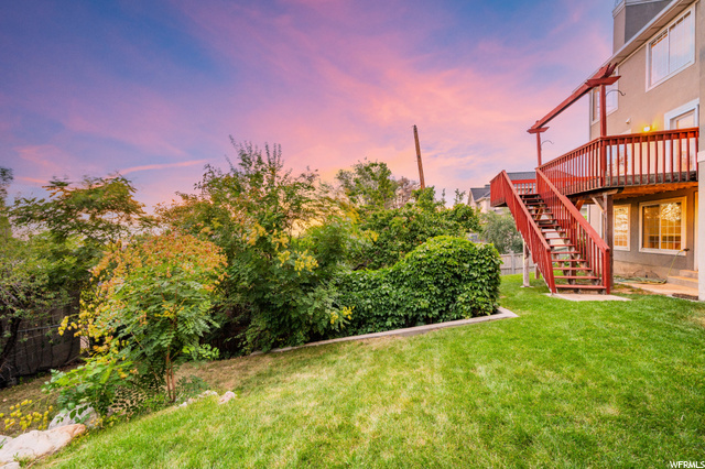 Backyard Sunset
