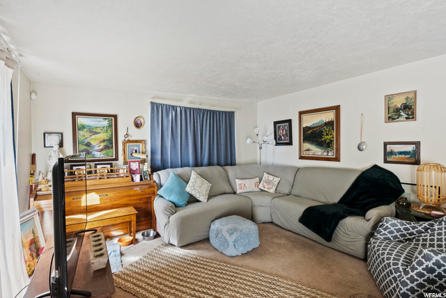 10196 S Crocus St E, Sandy, UT 84094 — photo 3