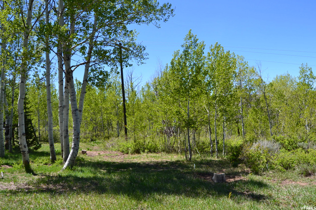 4479 Conifer Dr #618, Oakley, UT 84055 — photo 3