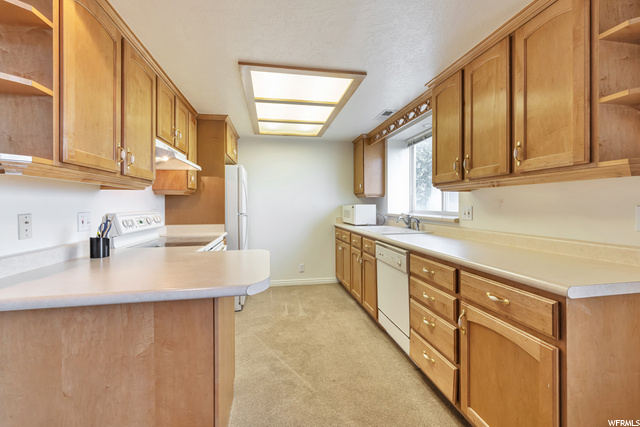 Basement Kitchen