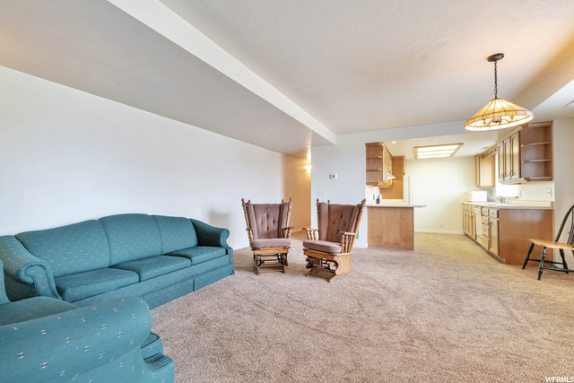 Basement Family Room
