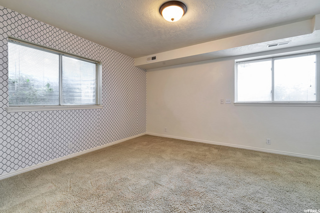 Basement Bedroom