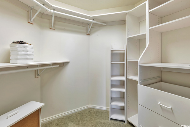 Basement Closet